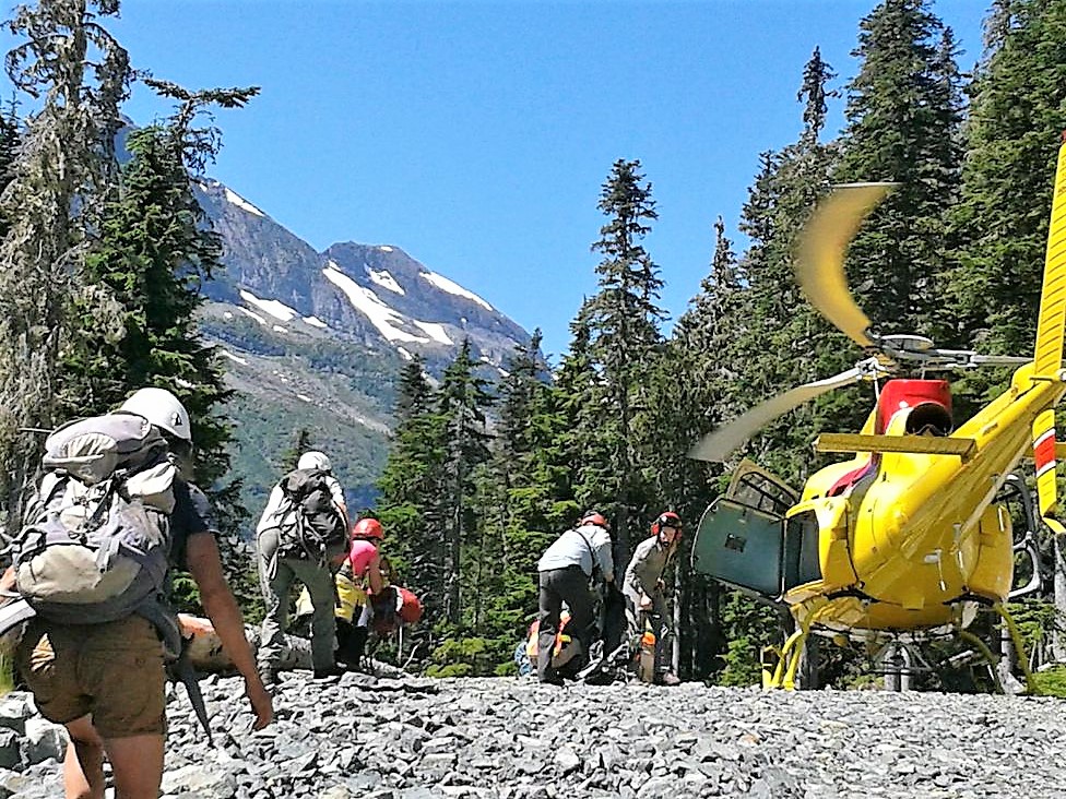 Mt. Washington Search