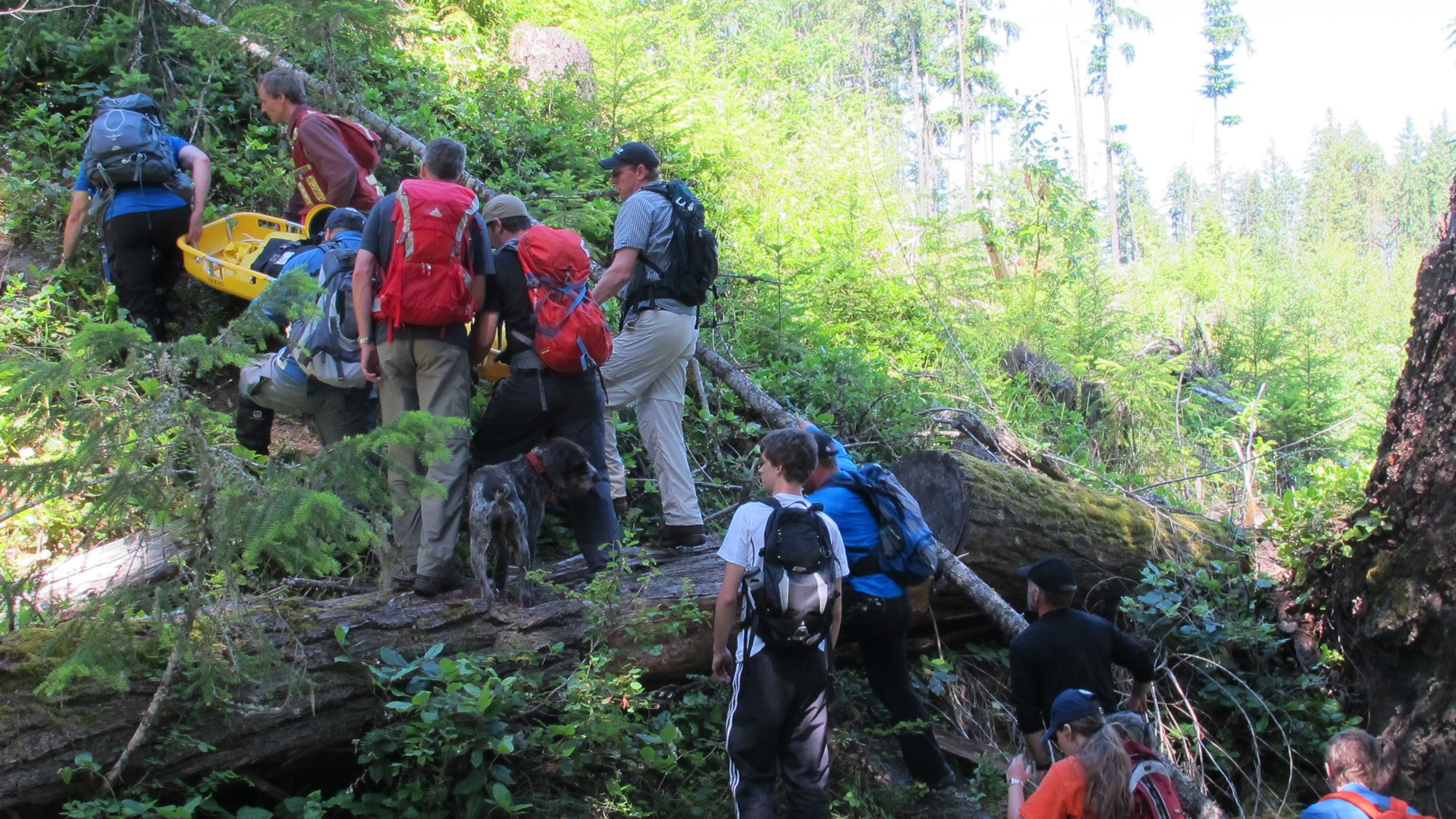 LSAR Ground Search and Rescue LSAR Ground Search and Rescue